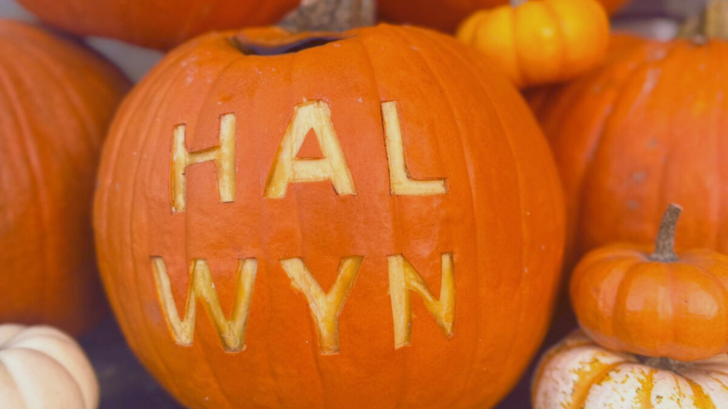 Image of a pumpkin carved with the word 'HALWYN'
